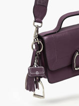 Bag Handle Altesse Etrier Violet altesse EALT405M-vue-porte