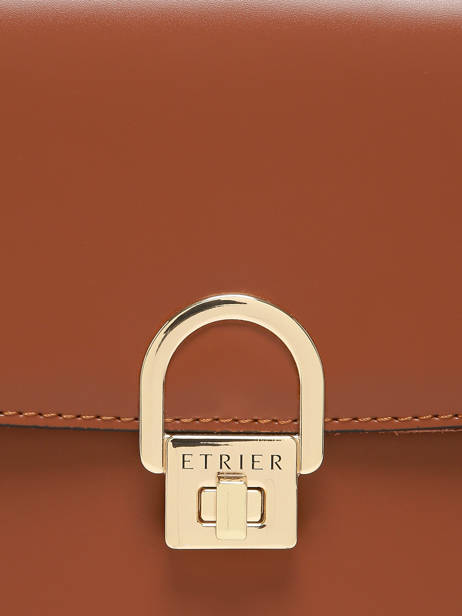 Shoulder Bag M Altair Leather Etrier Brown altair EALA081M other view 5